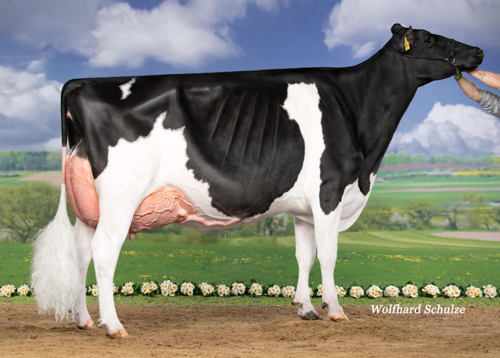GM: Wilcor Challenge EX-93