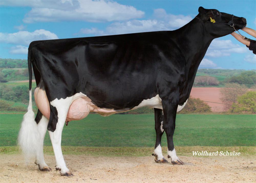GM: Saturday EX-90