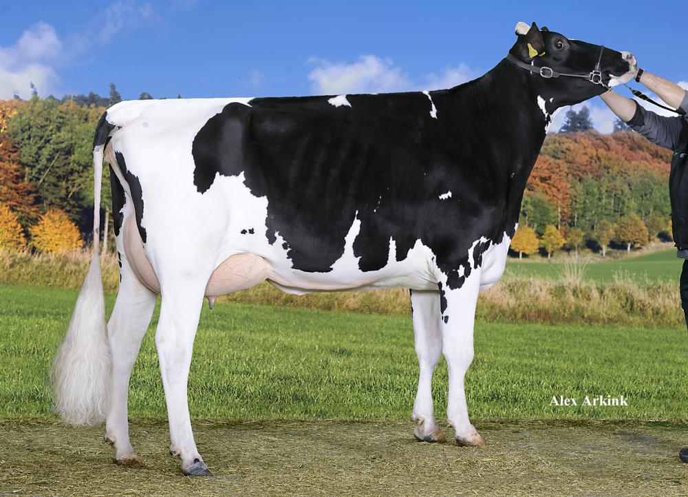 Mutter: Maike EX-90
