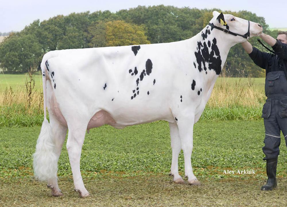 Hood Evelyn VG-89 EX-91-MS