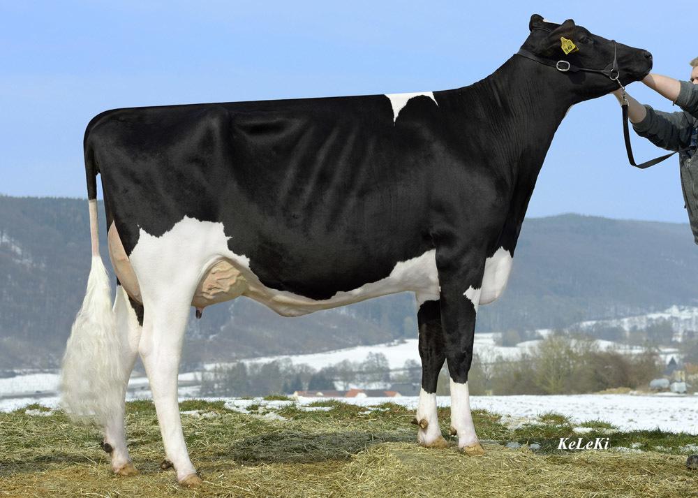 GM: NH Indira P RF VG-86