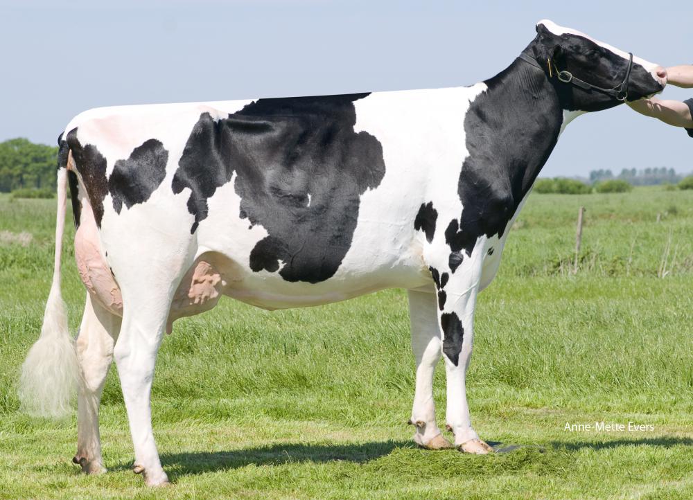 Mutter: JHP Mareike PP RF VG-86