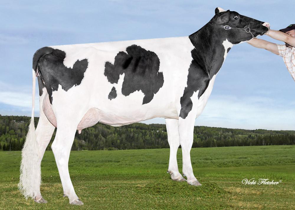 GGM: Beaucoise Planet Plane VG-86