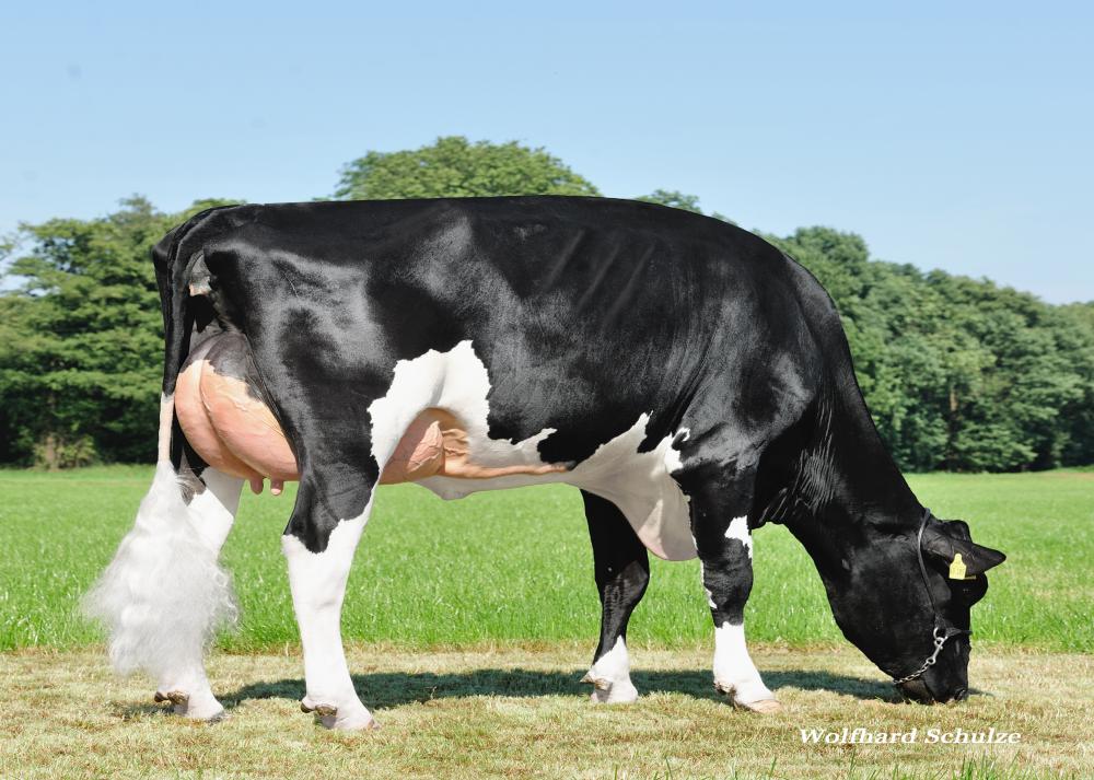 GM: RR Beacon Barbie VG-86