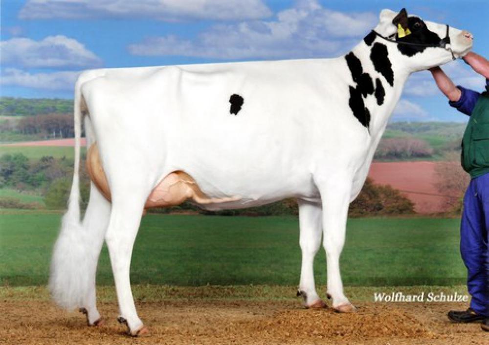 GM: KNS Dreammount VG-87