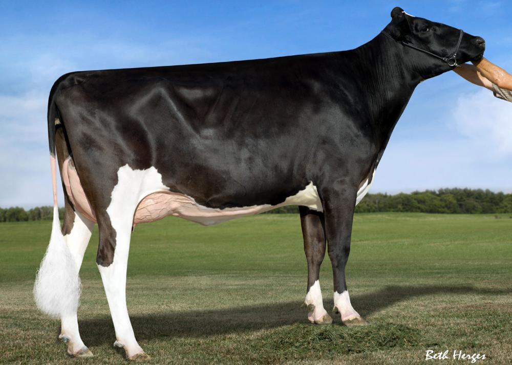 GM: DGR Brysha VG-88