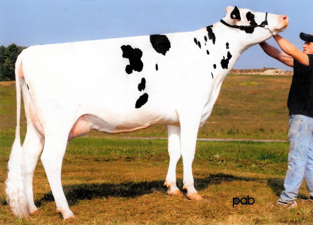 UGM: Kay-Ben O-Man Deedee VG-87