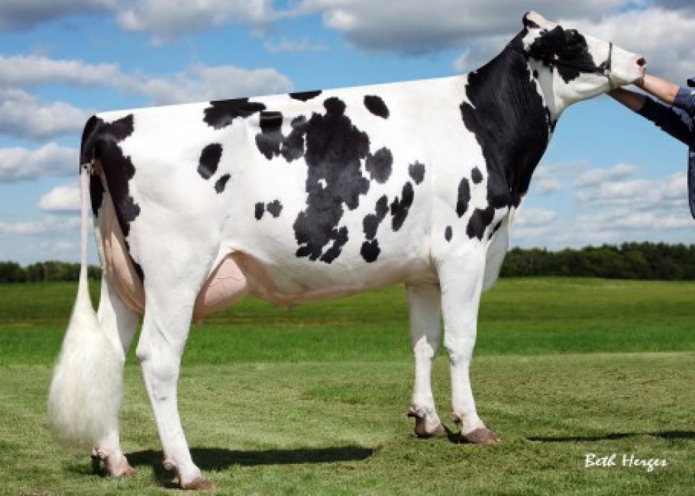 4 M: Sully Shottle May EX-91