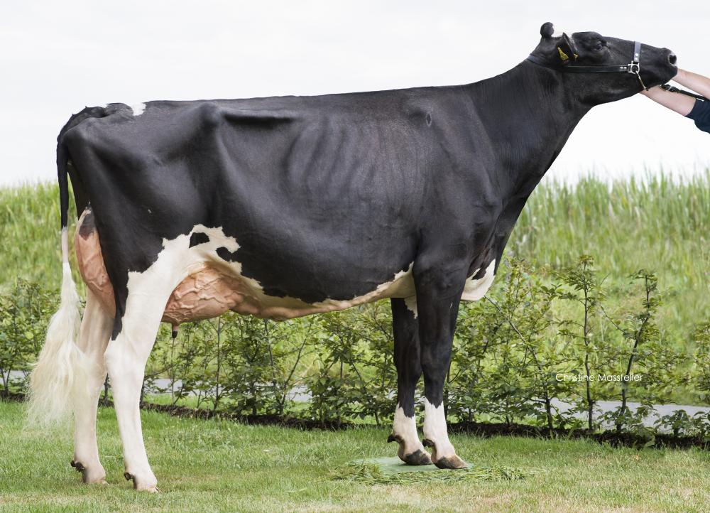Tochter Honolulu EX-90