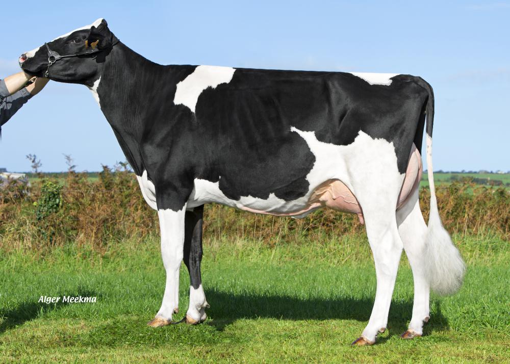 Mutter: Petton Lydia P RC VG-85