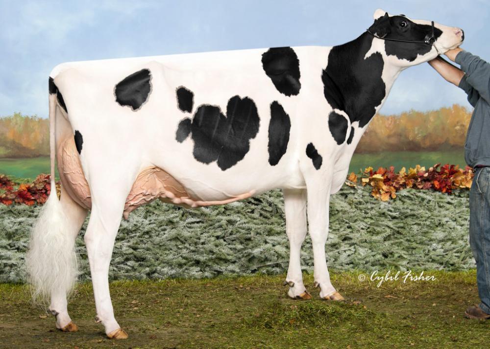 GM: Walnutlawn McCutchen Summer EX-95 EX 96 Euter