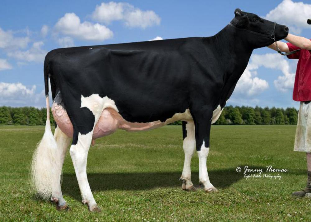 3GM: Freurehaven Labelle EX-90