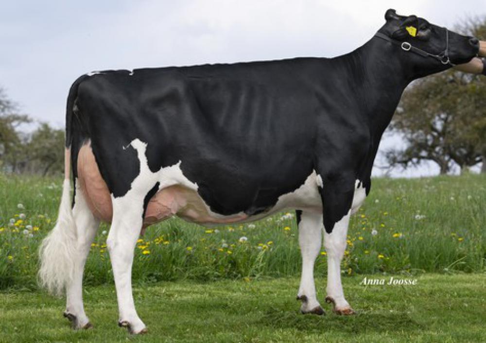 GM: RZN Commander Mackenzie VG-87
