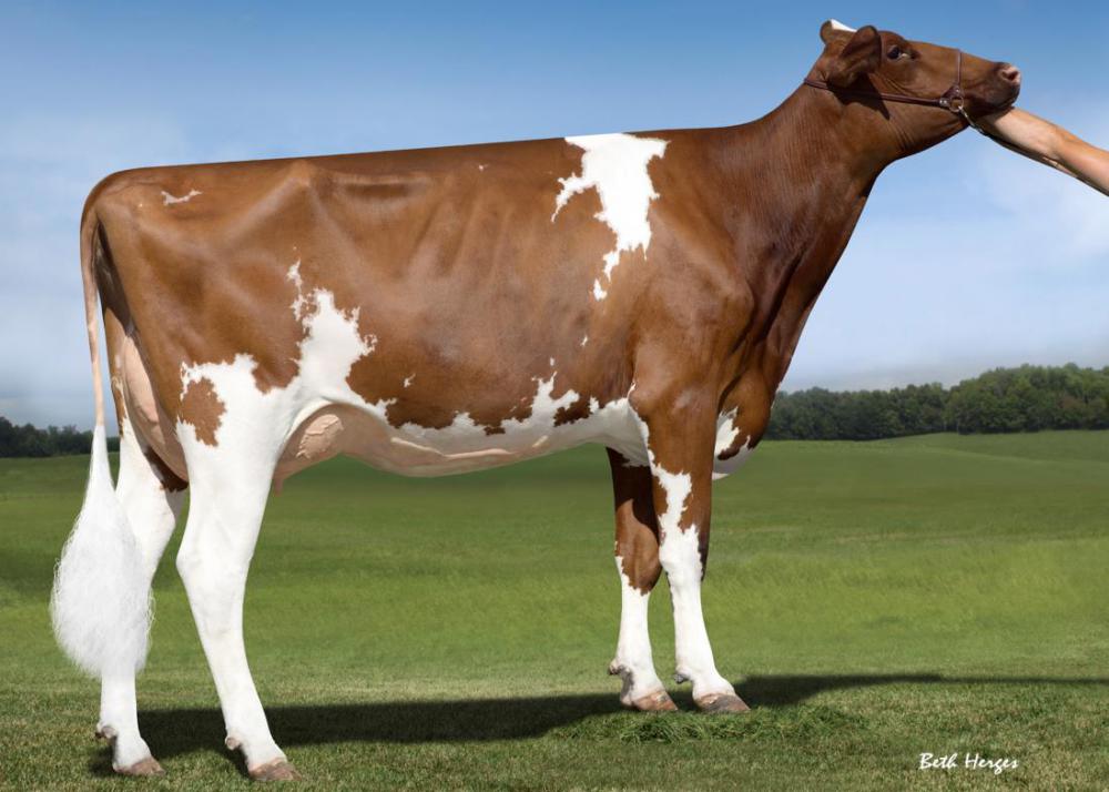 GM: KHW Alchemy Adeline Red VG-86