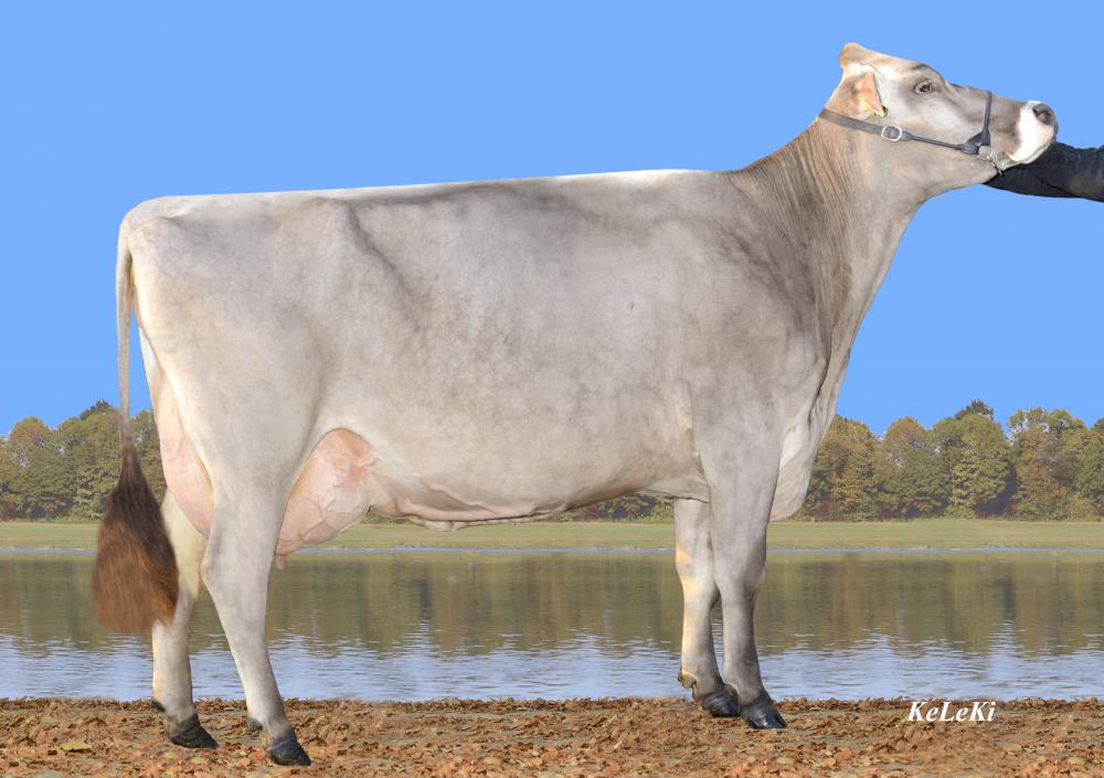 M: Eugster Dillinger TABEA EX 92