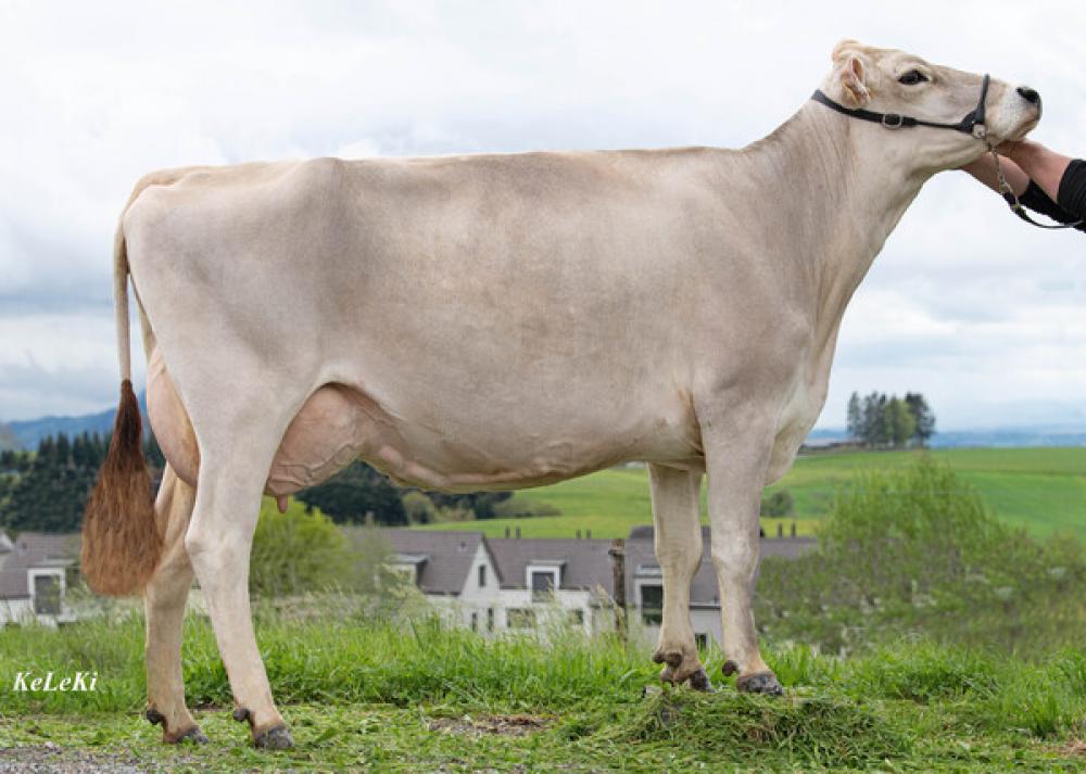 Mutter: Vujo Viala P VG-85