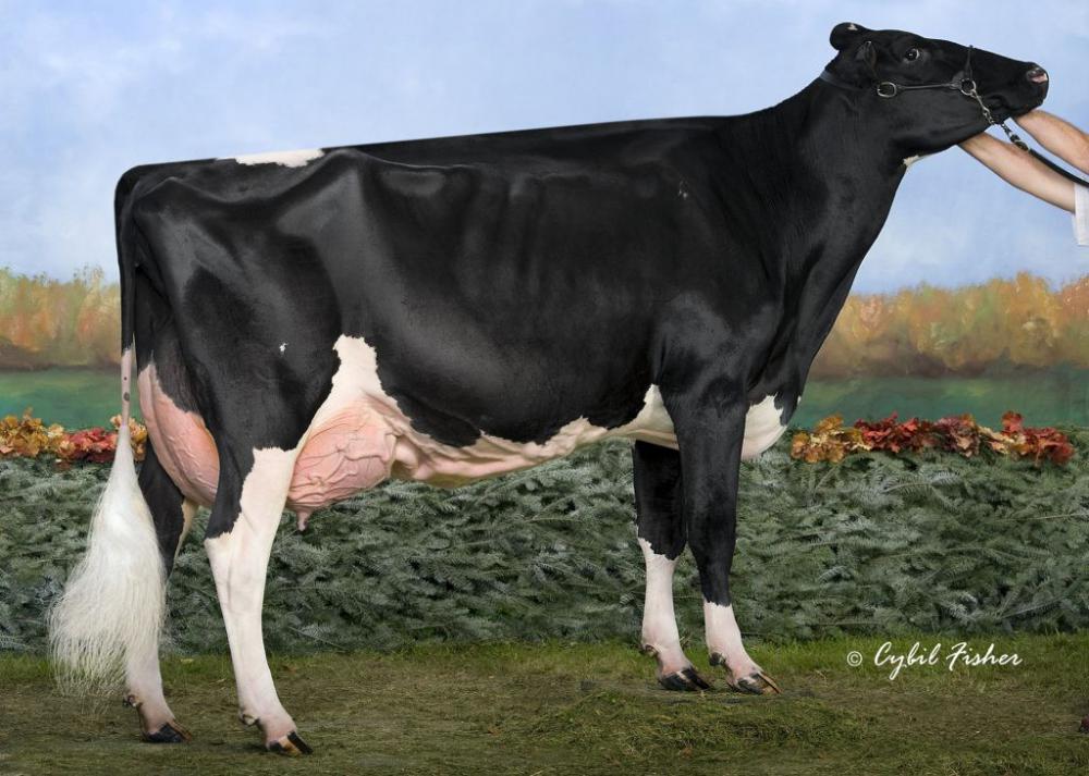 UGM: Winterbay Goldwyn Lotto EX-95