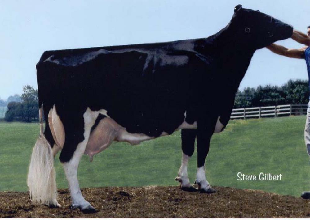 Stammkuh: Wesswood-HC Rudy Missy EX-92