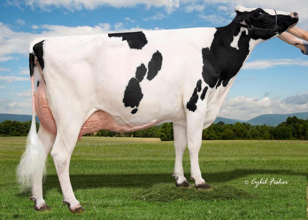 GGM: Al-Lew Monterey Ashley 1346 EX-95