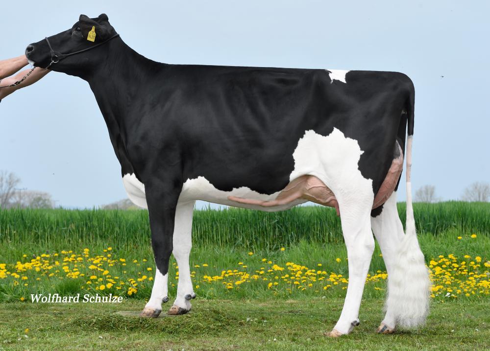 Mutter: Larissa PP VG-85