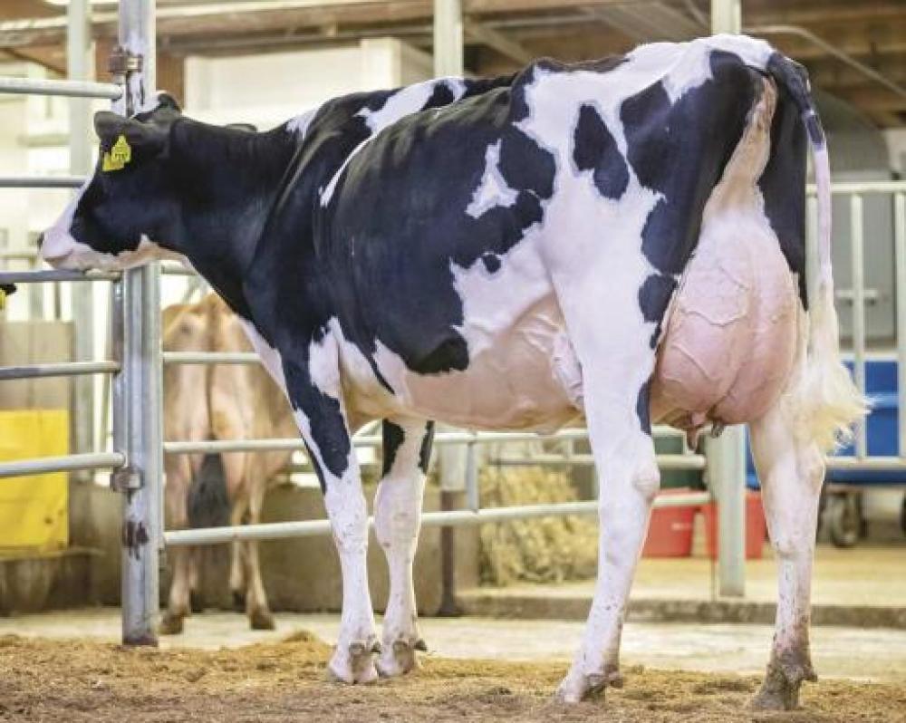 Sandy-Valley Escanaba EX-90