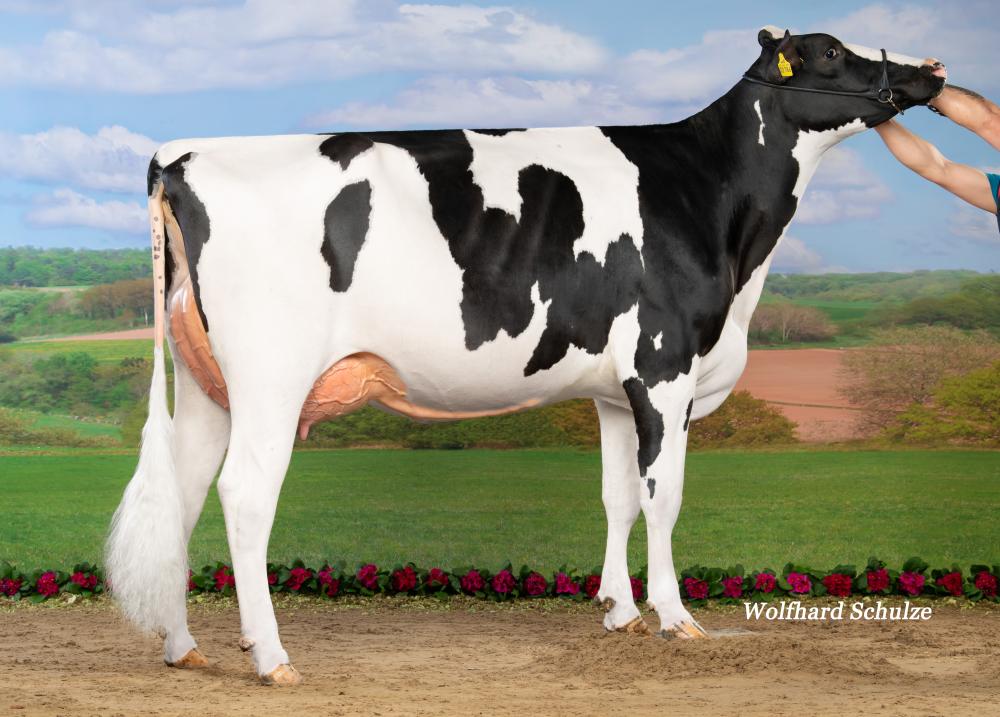 Mutter: WEH Lulu VG-87