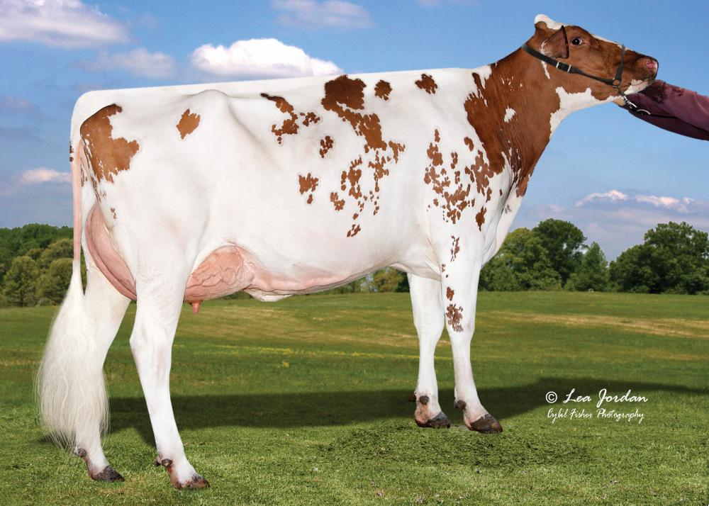UGM: Morningview SMP 6330 VG-87