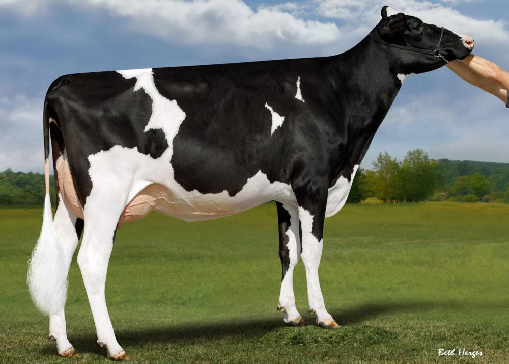 Mutter: Duckett Parfect Hallie EX-91