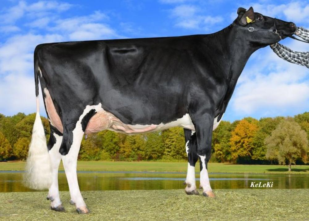 4GM: Wilder Herz P EX-90