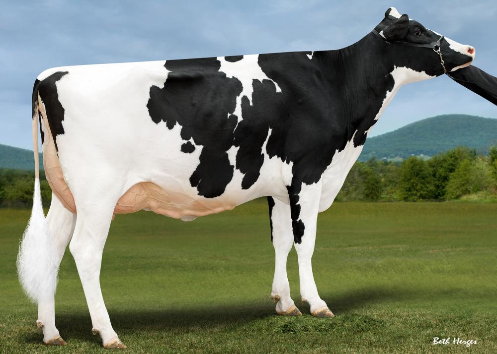GGM: TTM Renegade Ashanti EX-92