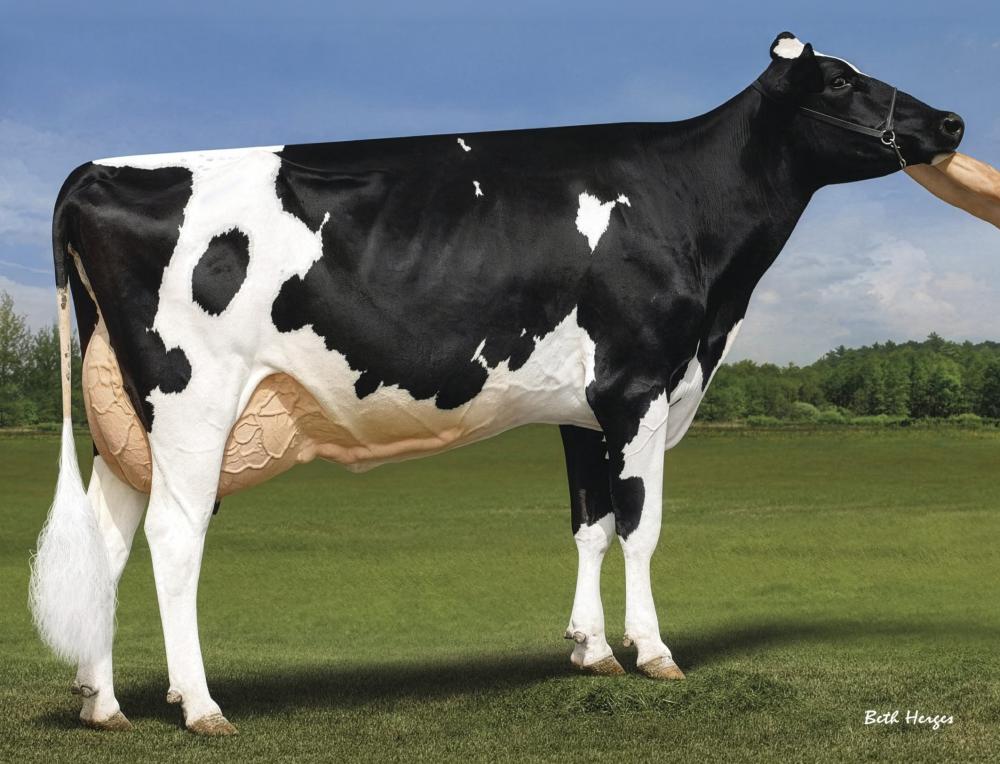 GGM: Ladys-Manor Alphabt Tuba VG-87